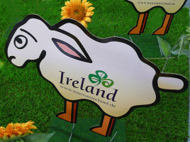 Irland und seine Schafe