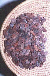 Kakao-Bohnen im Korb zur weiteren Verarbeitung