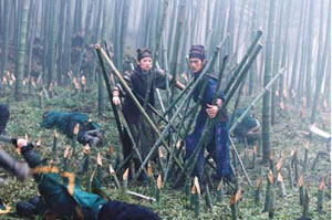gefangen in Bambusspeeren